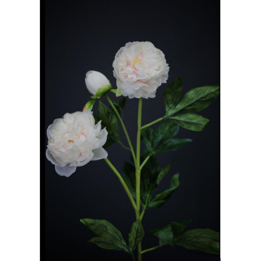 Цветок искусственный MYBLUMM 0003 Пион нежно-розовый