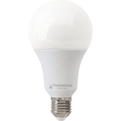Лампа светодиодная Hiper THOMSON LED A80 24W 2080Lm E27 6500K TH-B2353