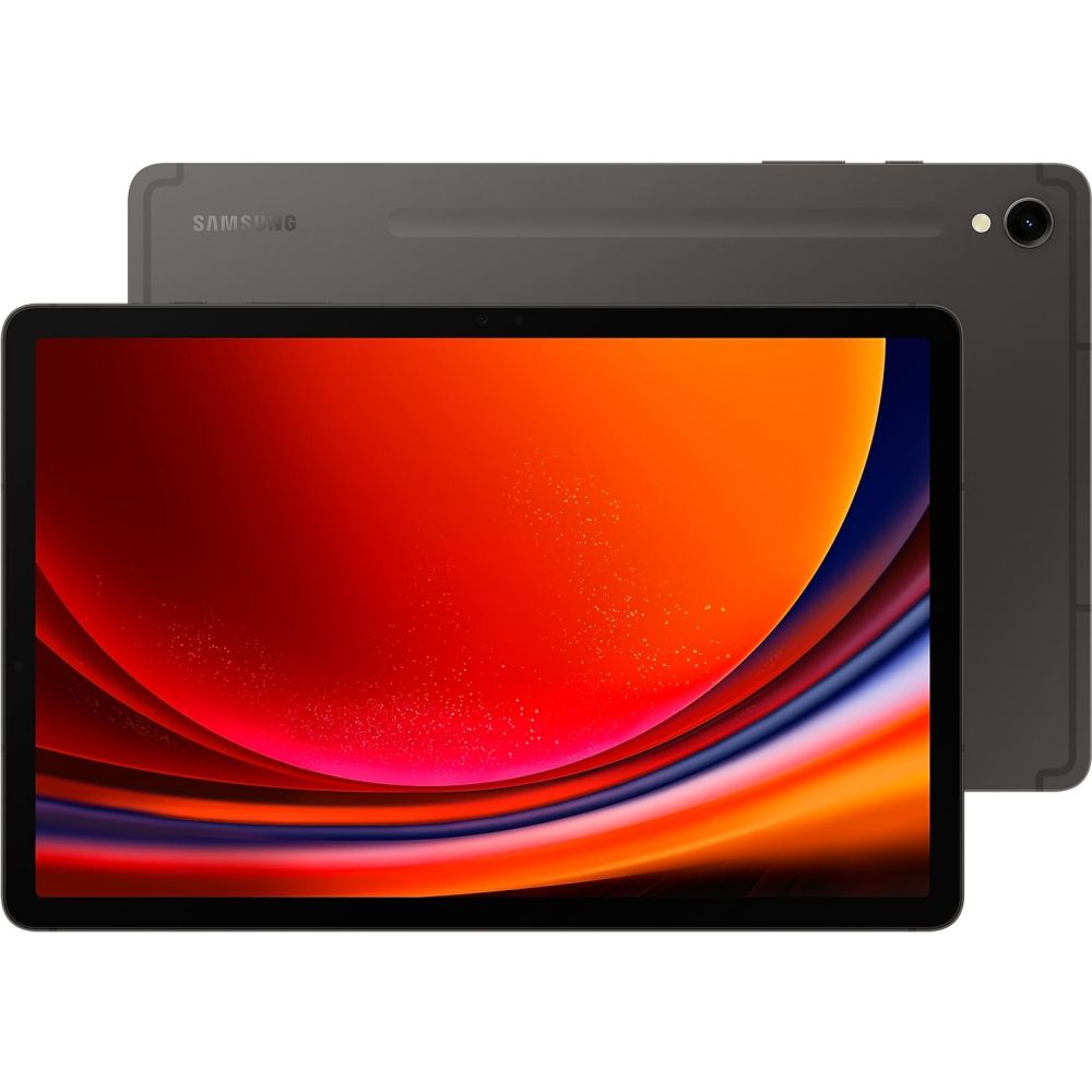 Планшетный компьютер Samsung Galaxy Tab S9 256GB